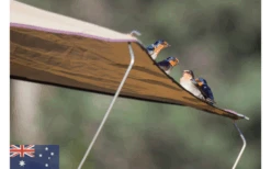 Gordigear Dachzelt 165 Plus Für 3 Personen Mit Vorzelt 165 X 320 Cm Grün -Freien Camping Geschäft 585663 3986115