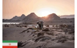 Gordigear Dachzelt Plus Für 3 Personen Mit Staufläche 165 X 320 Cm Grün -Freien Camping Geschäft 737354 4968536